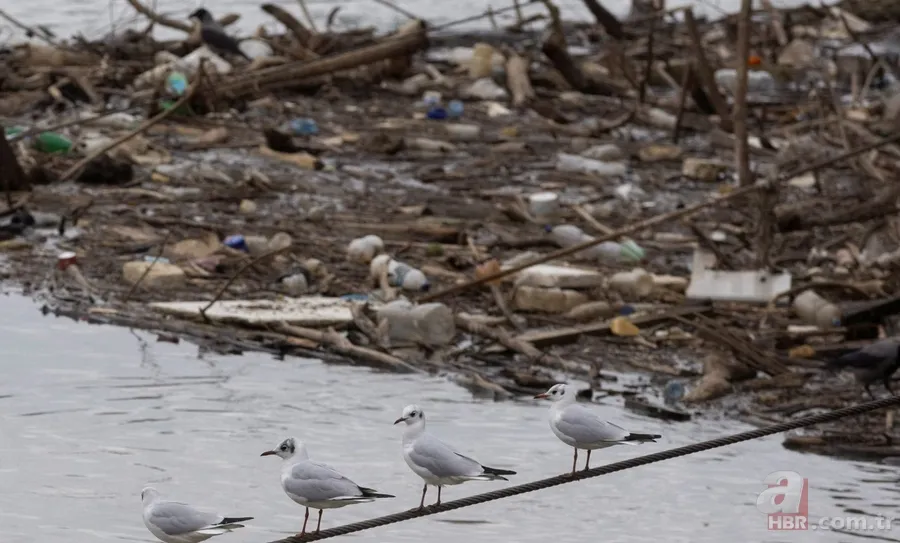 Avrupa'yı bekleyen büyük tehlike! Rezervleri hızla tükeniyor: Uzmanlar gelecek yazı işaret etti 7