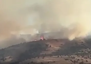 Sivas’ta anız yangını ormanlık alana sıçradı