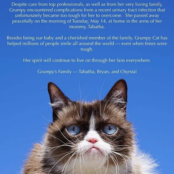 Fenomen ’Grumpy Cat’ hayatını kaybetti