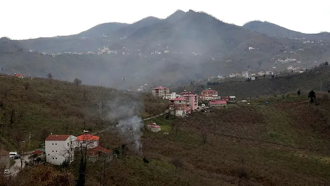Giresun’da mahalleye inen kurtlar için vatandaş sopalı ve baltalı nöbet tutuyor - 12
