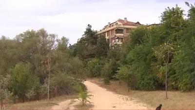 İşte Validebağ korusu gerçeği