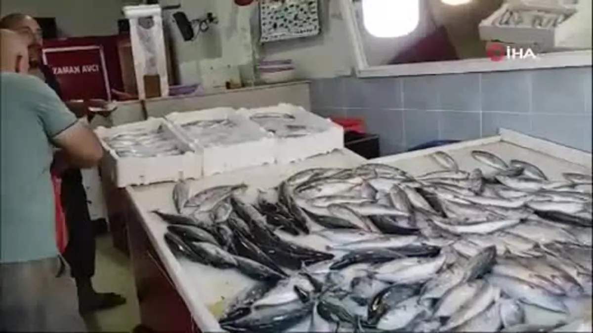 Av yasağı bitti tezgahlar palamutla doldu