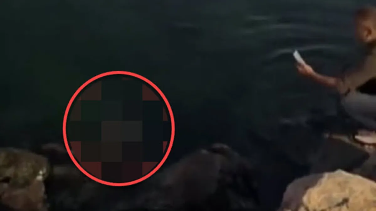 Pendik sahilinde görenler hayrete düştü! Hemen telefona sarıldı