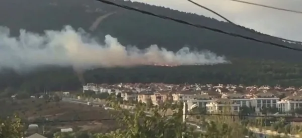 Yargıtay’dan karar çıktı! İstanbul’da orman yakan PKK’lı alçak teröristlere 25 yıl ceza