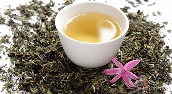 Adaçayı... Ihlamur... Kuşburnu... Hepsi doğal şifa deposu! Hangi bitki çayı neye iyi geliyor? İşte yanıtı... 13