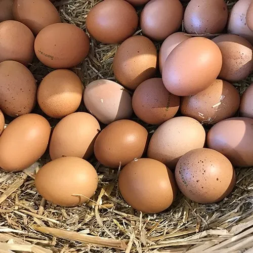 “Gezen tavuk” ve “Organik tavuk” adı altında yüksek fiyatlarla yumurta satışı - 6