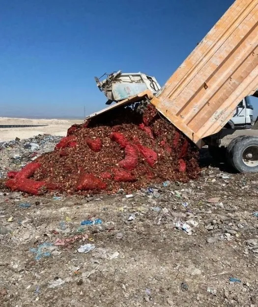 Aksaray’da hainliğin bu kadarına da pes dedirten görüntü! Tonlarca kuru soğan boş araziye döküldü: Valilik harekete geçti