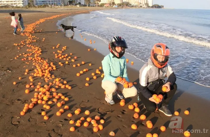 Görüntüler Türkiye’den! Binlerce portakal sahile vurdu