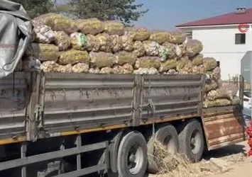 Yüksekova’da patates satışları başladı