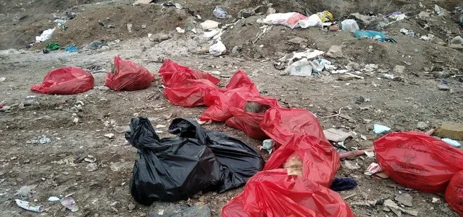 Ankara Gölbaşı’nda vahşet! 20 köpeğin cansız bedeni molozlar arasında bulundu