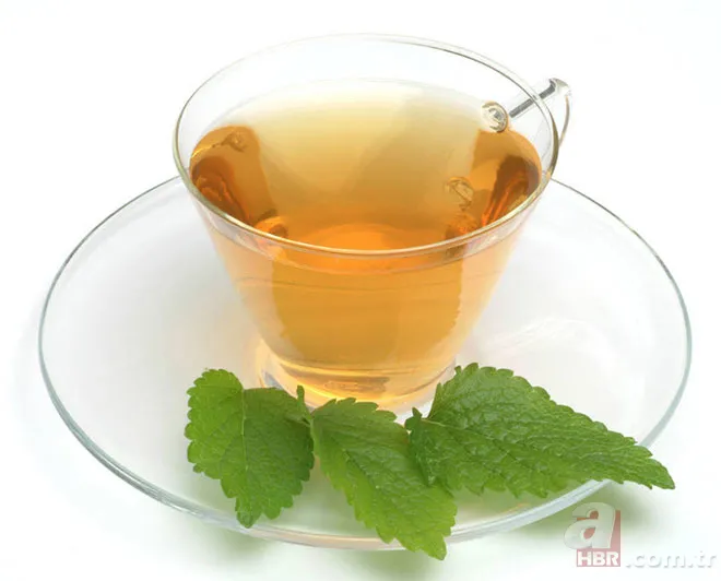 Adaçayı... Ihlamur... Kuşburnu... Hepsi doğal şifa deposu! Hangi bitki çayı neye iyi geliyor? İşte yanıtı... 15