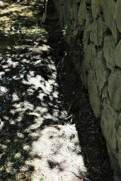 vahset-bahcesinde-10-olu-kopek-bulunan-kadin-gozaltina-alindi-1628273212876.jpeg Komşular kötü kokudan şikayetçi oldu! Bahçede 10 köpek ölüsü bulundu - 2