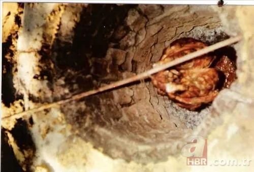 81 ilin en meşhur yemekleri! Hangi şehirde hangi yemek yenir? İşte Türkiye'nin lezzet haritası 44