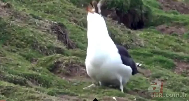 Oltasına takıldı! Neye uğradığını şaşırdı 12