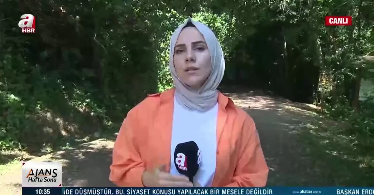 Ormanlarda piknik yasağına uyuluyor mu?