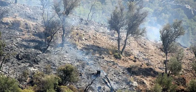 Serik’te orman yangını: 5 hektar alan kül oldu