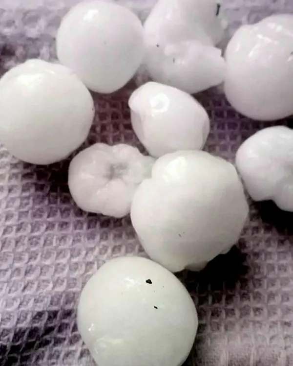 1661353157068.jpg Meteoroloji ve AFAD uyardı! Kuvvetli sağanak yağış o güne kadar sürecek! İstanbul Ankara İzmir hava durumu - 4