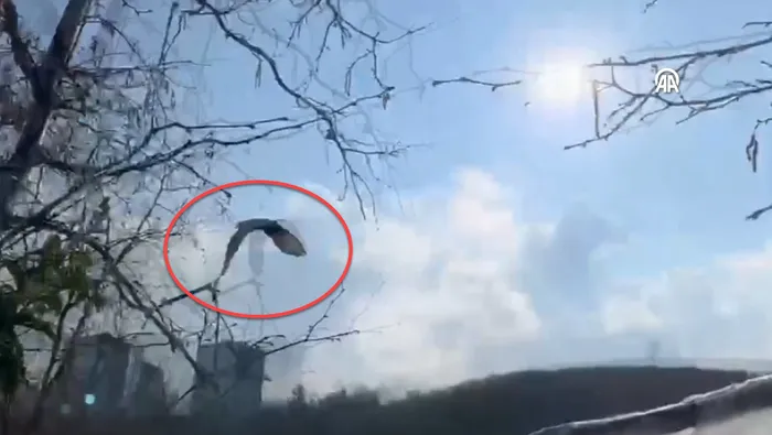 Kümeste mahsur kalan doğan itfaiye ekiplerince kurtarıldı (A HABER ARŞİV)