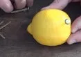 Rus mühendis limon ile bakın ne yaptı! Herkesi şaşırtan deney