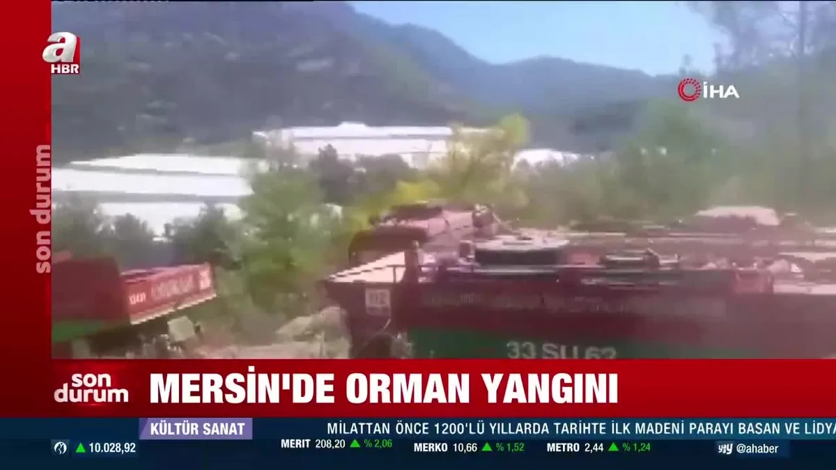 Mersin'de orman yangını
