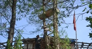 Görenler şaşkına dönüyor! Meyve yerine tabut çıktı