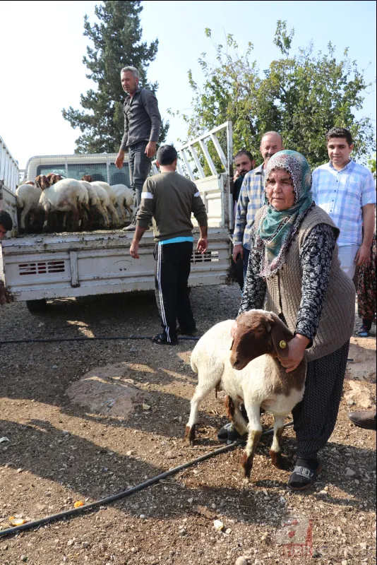 Adana'da koyunları çalınan Ayşe teyzenin gözyaşları dindi 12