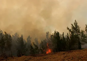 Hatay'daki orman 2 gündür yanıyor