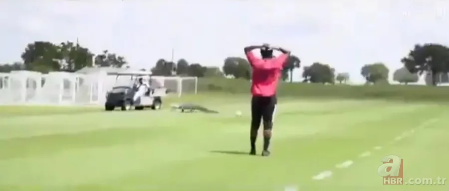 Sürücülerin kabusu oldu! Geceleri ortaya çıkıp yola fırlıyor 18