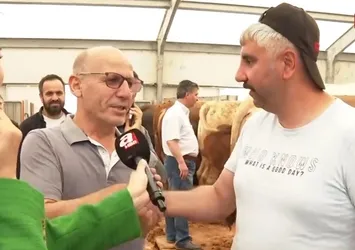 A Haber canlı yayınında kurban pazarlığı