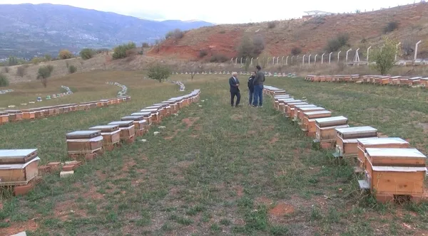 salgin-propolise-talebi-arttirdi-litresi-2-bin-tl-1635243734750.jpg Salgın propolise talebi arttırdı! Litresi 2 bin TL - 2