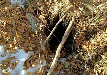 Tunceli'de PKK'lı teröristlere ağır darbe