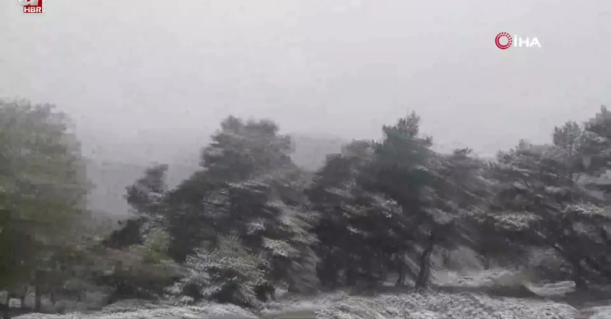 Tokat'ın yüksek kesimlerinde kar etkili oldu