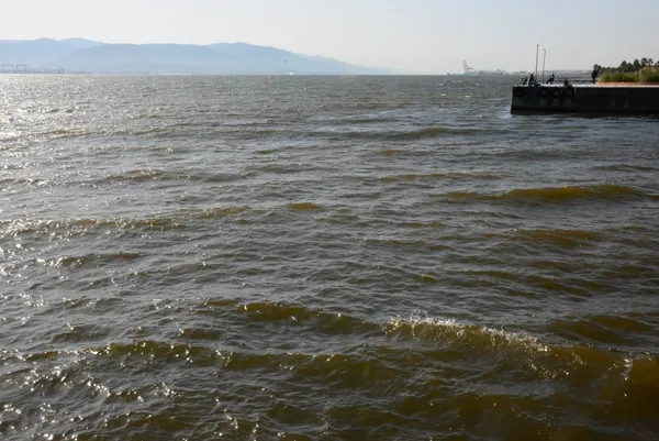 İzmit Körfezi’nde şaşırtan görüntü! Denizin rengi kahverengiye döndü