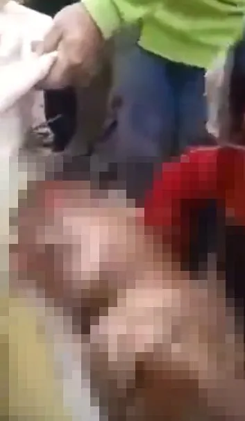Timsahın karnından insan çıktı! Kan donduran anlar böyle görüntülendi...
