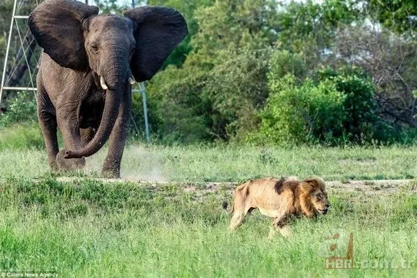 Bilim insanları geliştirdi! Artık uzaydan sayılabilecekler
