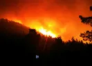 Muğlada orman yangını