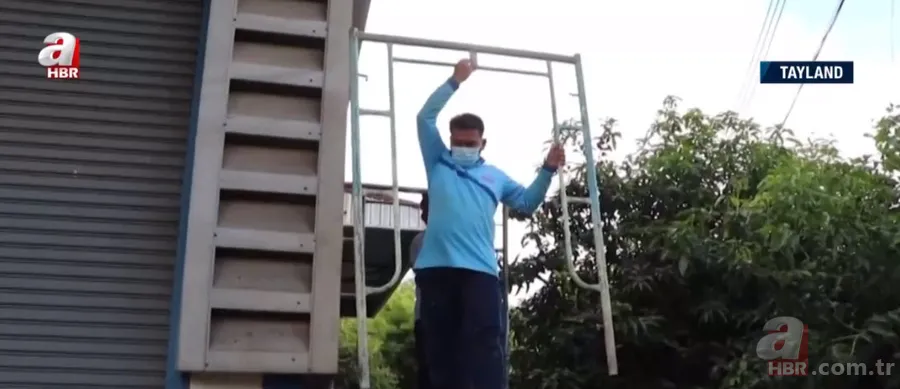 Fabrikada dev piton paniği! Yılan avcısı genç kadın... 3