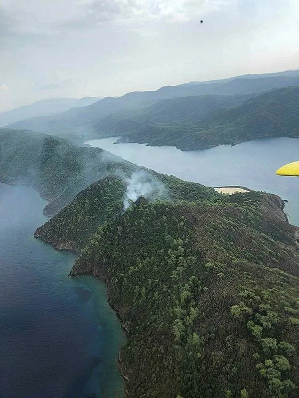 1693655156254.jpeg Muğla'da orman yangını: 1,5 saatte kontrol altına alındı - 1