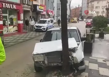 Bolu'da köpeğe çarpmamak için ağaca çarptı