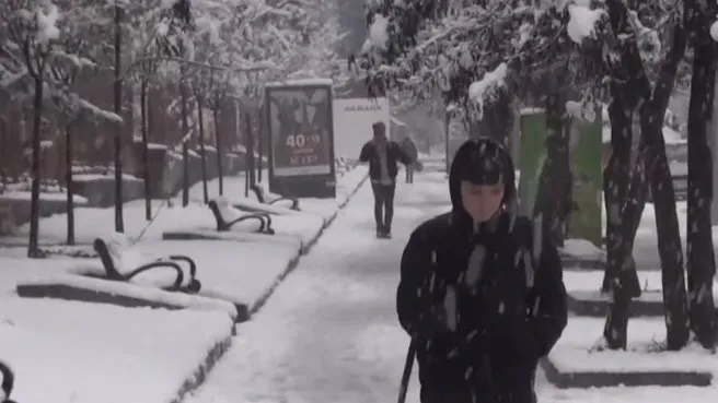 Erzincan’da kar ve tipi etkili oldu! Refahiye’de taşımalı eğitime 1 gün ara