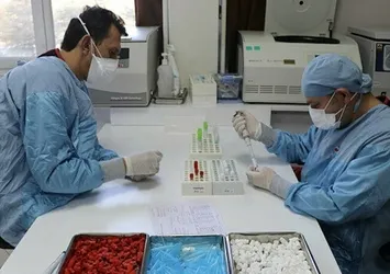 Yerli koronavirüs aşısında Faz-1 çalışmaları tamamlandı