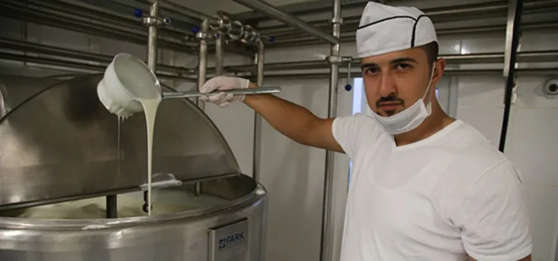 Diyarbakır, Maraş dondurmasına rakip olacak