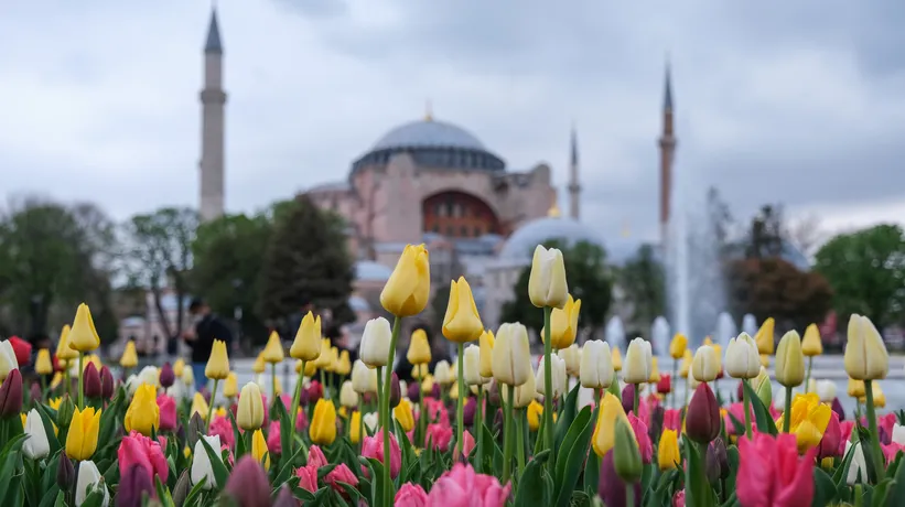 24 Ekim Cuma hutbesi konusu ve tam metni: “Birlikte Bereket, Kardeşlikte Rahmet Vardır”