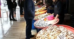 Kilosu etle yarışıyor! Balık fiyatları...