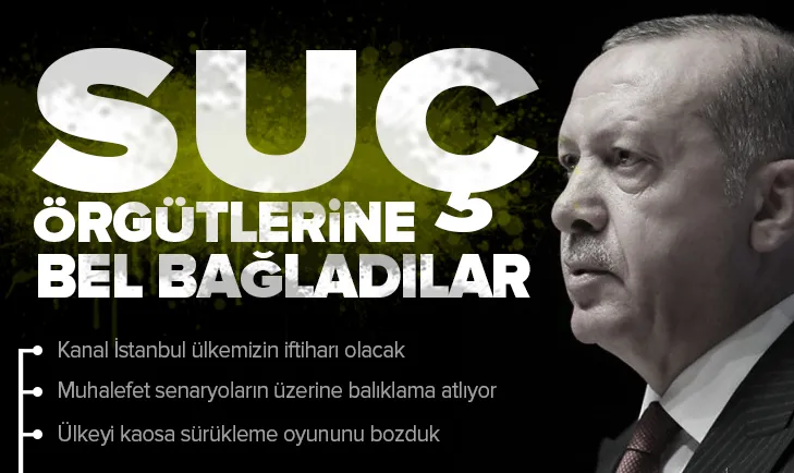 Son dakika... Başkan Erdoğan: Suç örgütlerine bel bağladılar