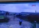 Köpeğin saldırdığı bekçiyi, başka bir köpek kurtardı