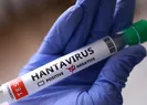 DSÖden yeni hantavirüs açıklaması