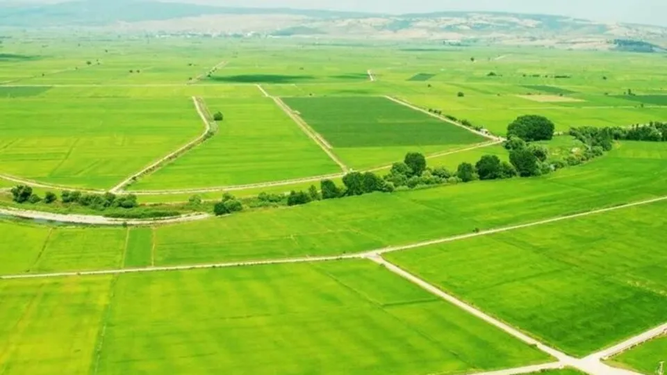 Altından daha fazla kar bırakıyor! Fiyatı yüzde 400 arttı