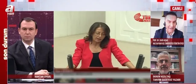 Toplumsal dinamiklerle kim oynuyor? Anıtlara saldırıların perde arkasında ne var?