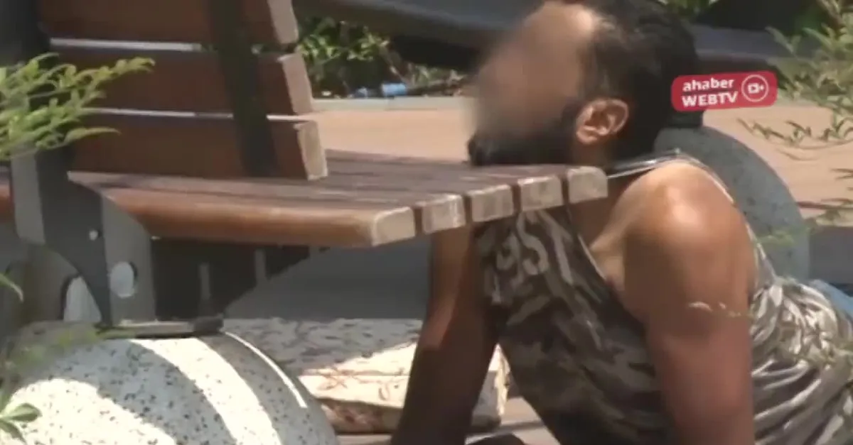 Parkta yürekleri yakan kare! |Video